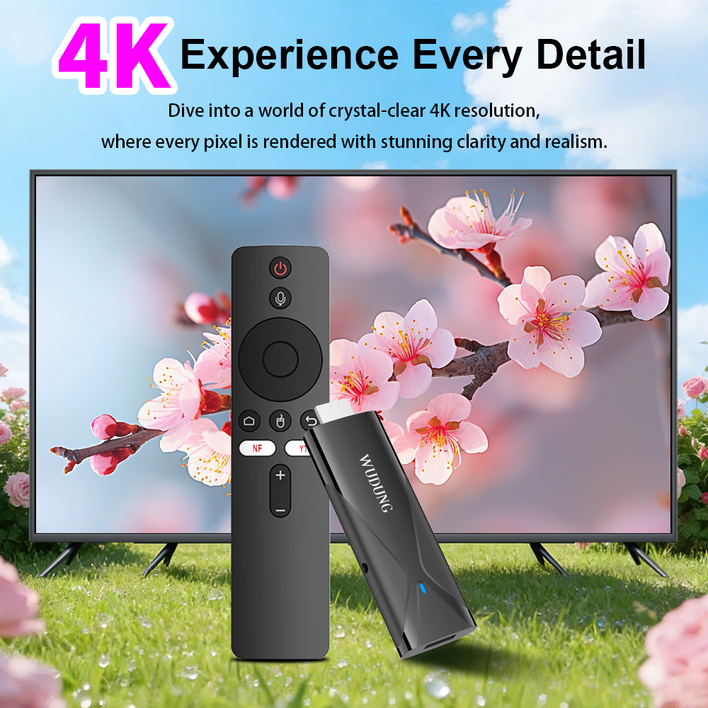Home Cinema Media Player - WD08 PRO TVドングル Android10 Allwinner H313